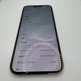 iPhone 13 Pro Max 256GB �Хåƥ꡼100�� ������� SIM�ե꡼���ڱ���