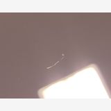 ������ʡ� iPad ��9���� 64GB ���졼 SIM�ե꡼ ��Ƚ�� �Хåƥ꡼100%