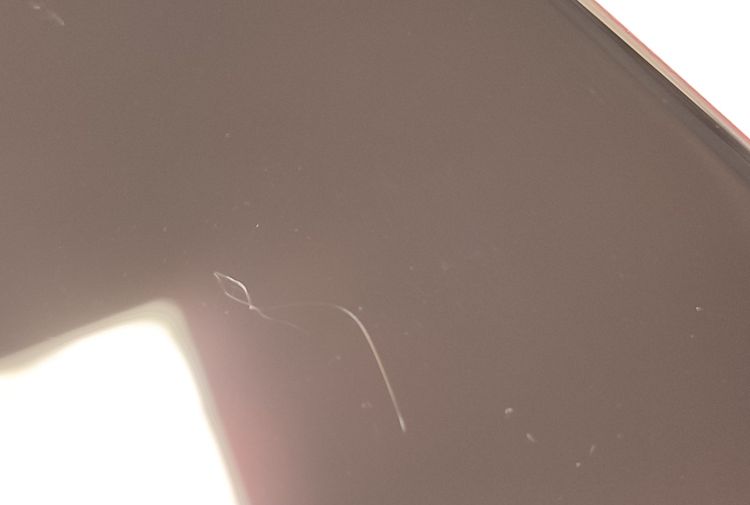 ������ʡ� iPhone SE2 64GB ��å� SIM���å�����Ѥ� ��Ƚ�� �Хåƥ꡼78%