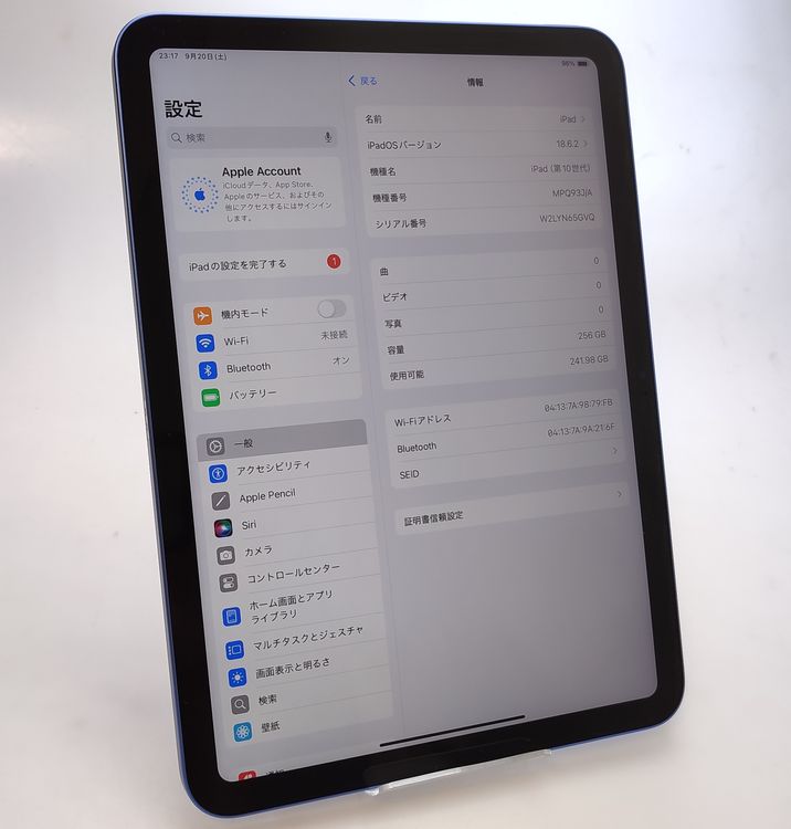 ʡ iPad 10 256GB Wi-Fiǥ ֥롼 MPQ93J/A