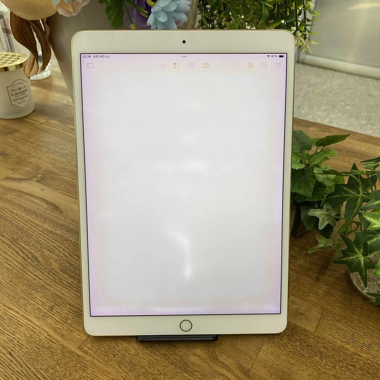 iPad Pro 10.5 256GB  WiFi ̵