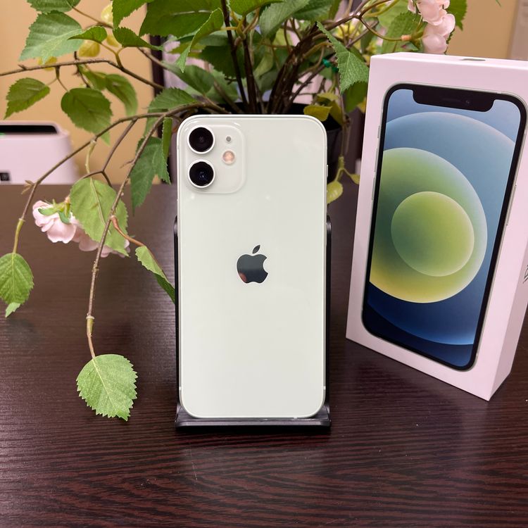 iPhone 12Mini 64GB ꡼ SIMե꡼ ̵