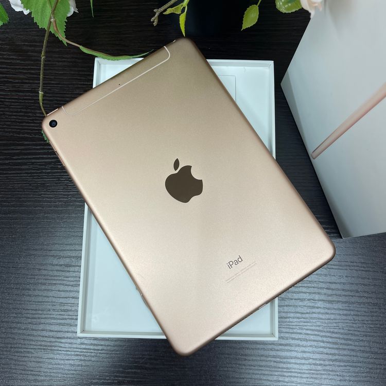 iPad mini 5   64Gb Wi-Fi + Cellularǥ ̵