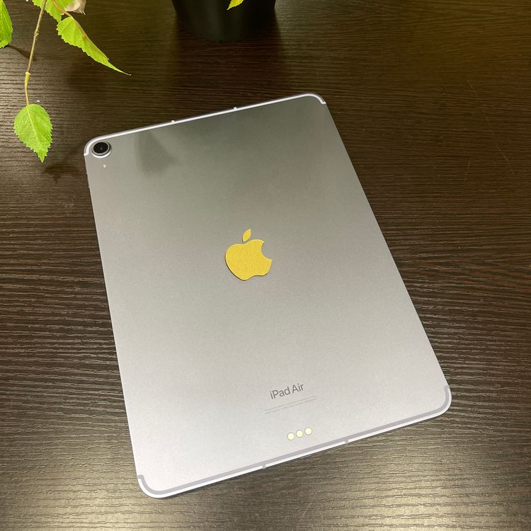 iPad Air(5) 256GB ѡץ Wi-Fi + Cellularǥ ̵