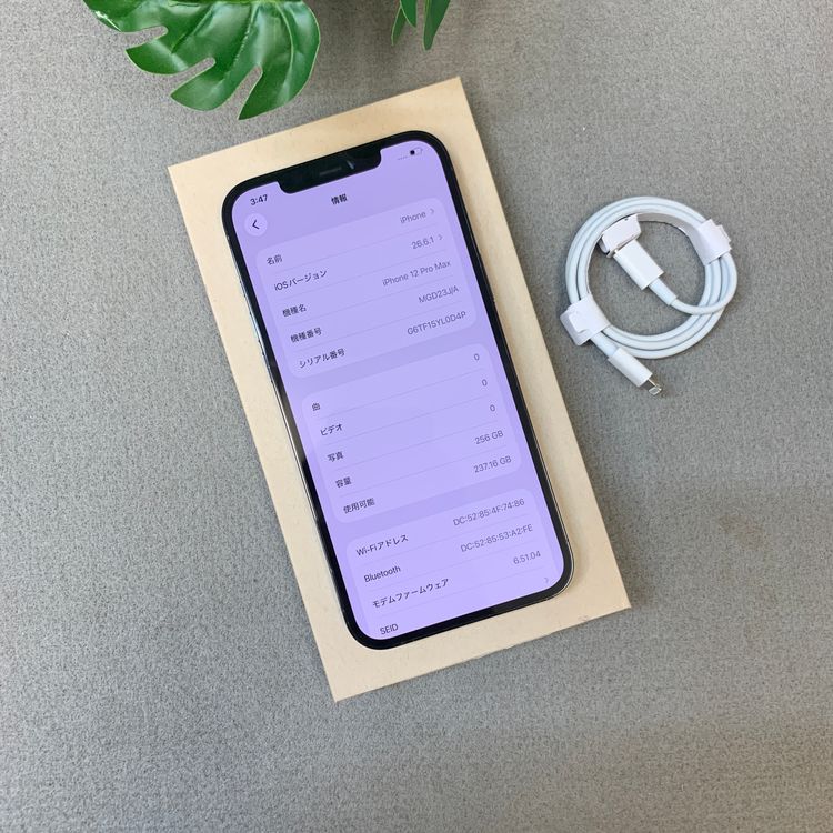 �Хåƥ꡼ 100�� iPhone12 ProMax 256Gb ����SIM�ե꡼ ����̵��