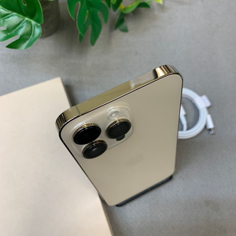 �Хåƥ꡼ 100�� iPhone14 ProMax 1TB ����SIM�ե꡼ ����̵��