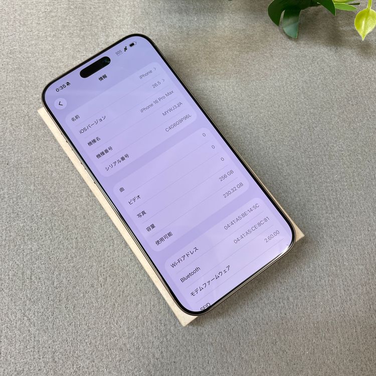 ����Ʊ�� iPhone 16ProMax 256GB �ǥ����ȥ����˥��� Apple�� SIM�ե꡼