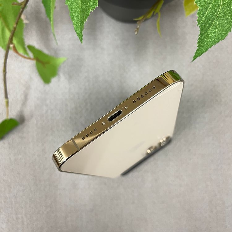 iPhone12 Pro Max 256Gb  SIMե꡼ ̵