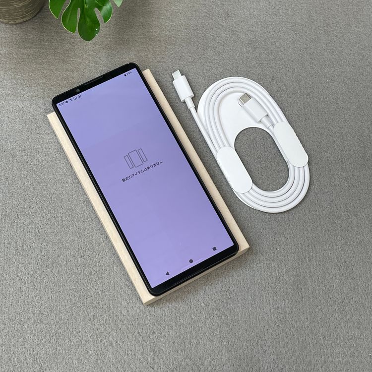 Sony Xperia 1 V SO-51D 256GB �֥�å� ������ SIM�ե꡼����̵��