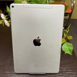iPad Air 3 Wi-Fi + Cellularǥ  SIMե꡼