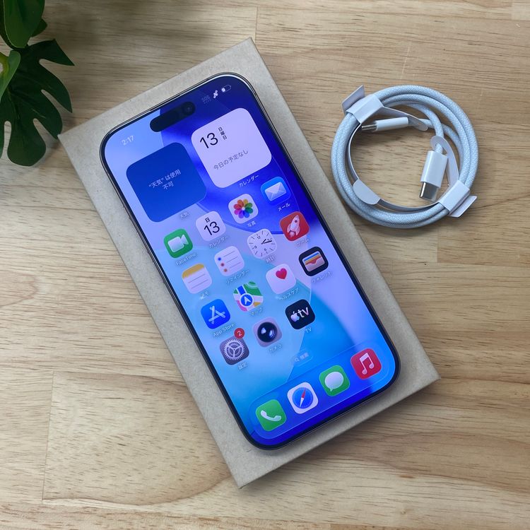 ����Ʊ�� iPhone16Pro 512GB �ǥ����� ������ SIM�ե꡼ ����̵��
