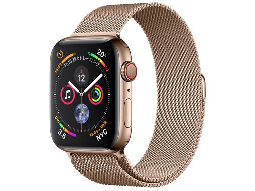 ���� Apple Watch Series 4 44mm GPS+ Cellular ����̵��