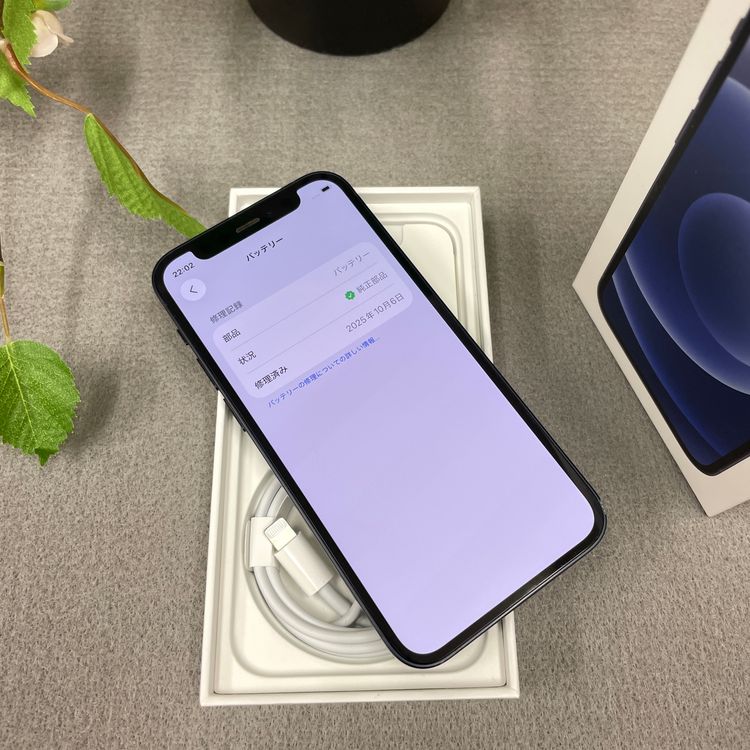 iPhone 12 mini 128GB  �֥�å� SIM�ե꡼ ����̵��