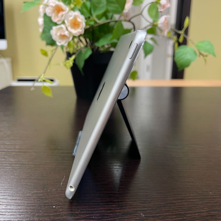 iPad mini 4 128GB С Wi-Fi ǥ ̵