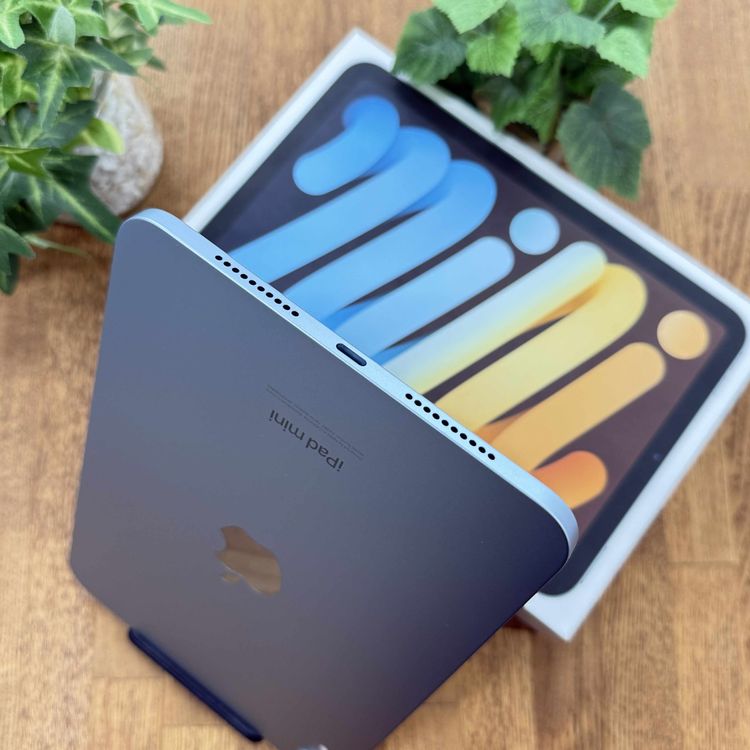 ̤ iPad MiNi A17Pro 256GB ֥롼WiFiǥ̵