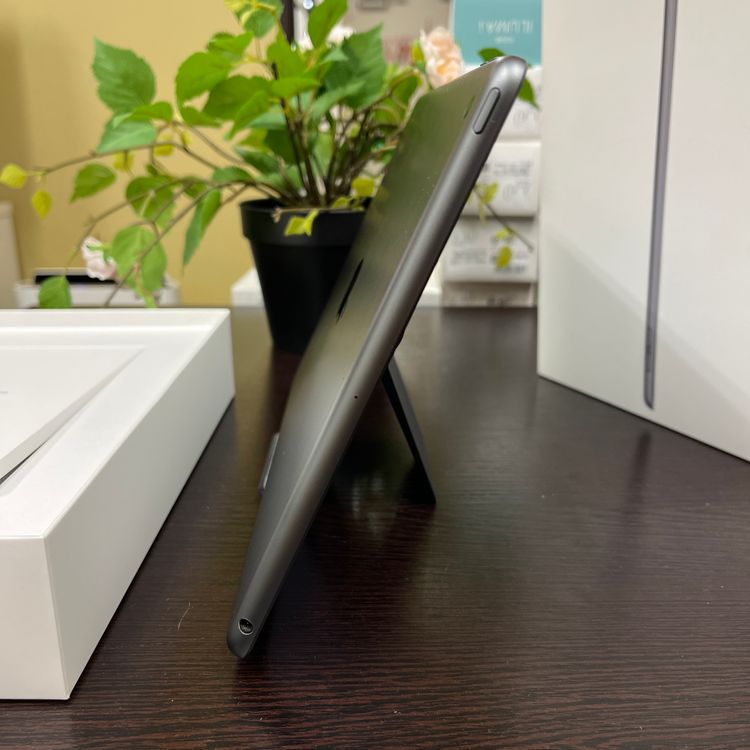 iPad(9) 64GB ڡ쥤 Wi-Fiǥ