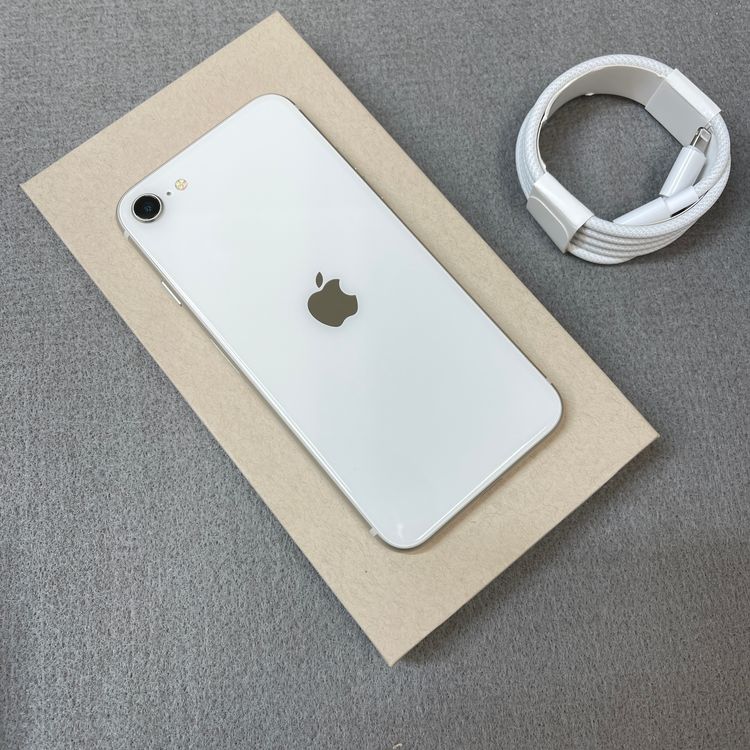 iPhone SE�裳���� 256GB �������饤�� ������ SIM�ե꡼����̵��