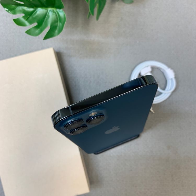 �Хåƥ꡼ 100�� iPhone12 ProMax 256Gb ����SIM�ե꡼ ����̵��