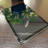 iPad Mini 6 64GB Wifi + Cellular SIMե꡼ ̵