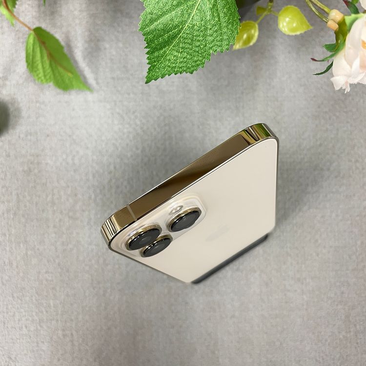 iPhone 13ProMax 256GB ������� ����SIM�ե꡼ ����̵��