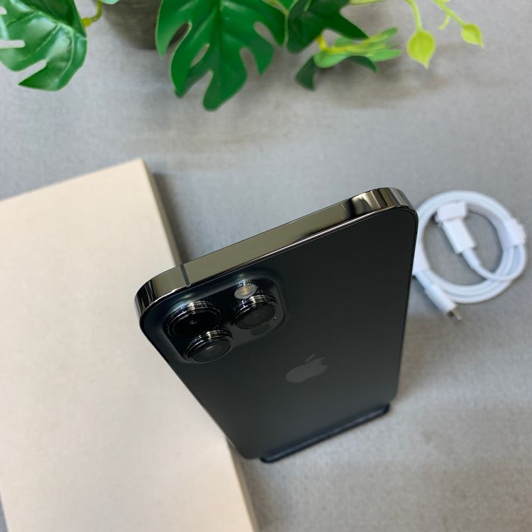 �Хåƥ꡼ 100�� iPhone12 ProMax 256Gb ����SIM�ե꡼ ����̵��