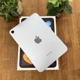 ̤ iPad MiNi A17Pro 256GB ֥롼WiFiǥ̵