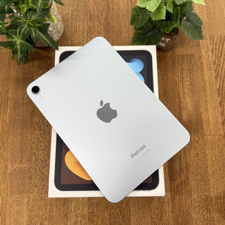 ̤ iPad MiNi A17Pro 256GB ֥롼WiFiǥ̵