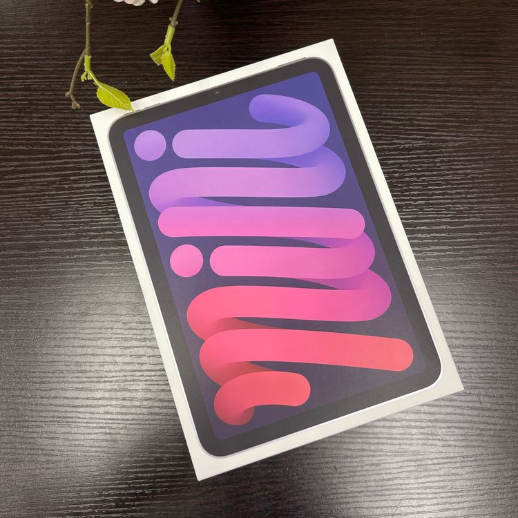 ʡ̤ iPad mini(A17 Pro) Wi-Fi ǥ ̵