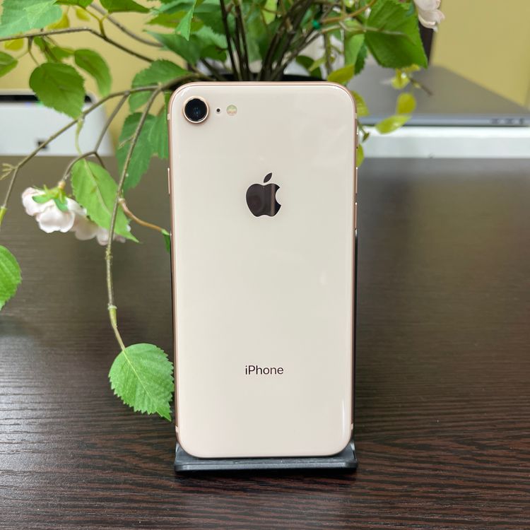 iPhone8 64GB  SIMե꡼ ̵