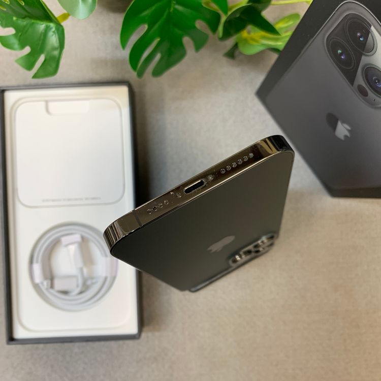 �Хåƥ꡼ 100�� iPhone 13ProMax 256GB ����SIM�ե꡼ ����̵��