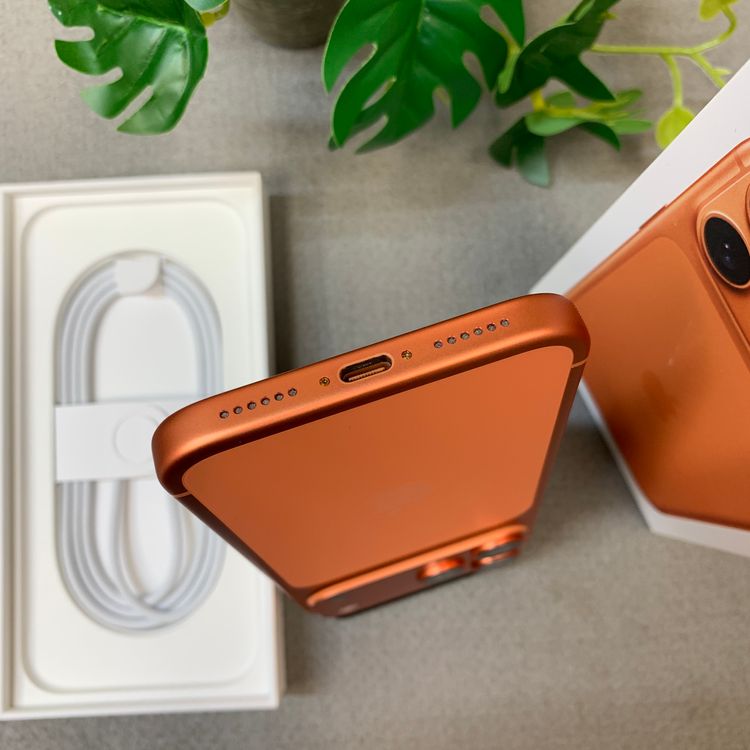 �Хåƥ꡼ 100% iPhone 17ProMax 512GB ������ SIM�ե꡼ ����̵��