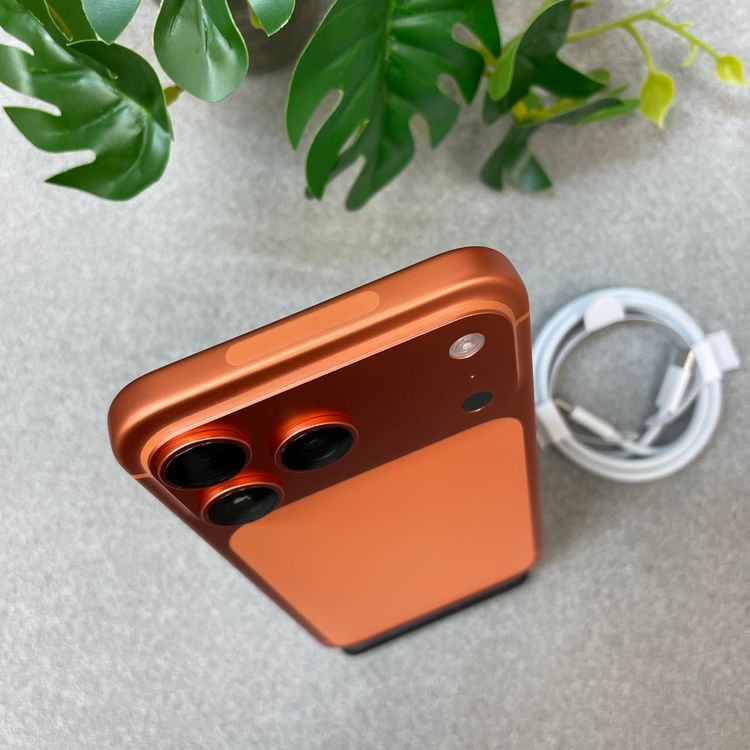 �Хåƥ꡼ 97% iPhone 17ProMax 256GB ����� ������ SIM�ե꡼