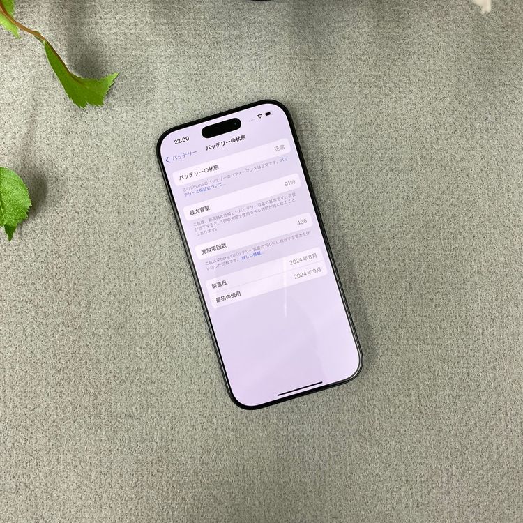 iPhone16Pro 1TB �֥�å� ������ SIM�ե꡼ ����̵��