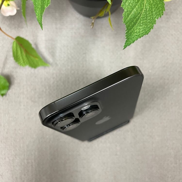 iPhone16ProMax 256GB �֥�å� ������SIM�ե꡼����̵��