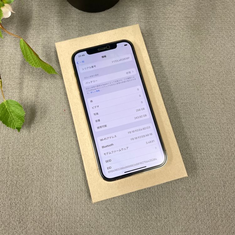 iPhone 12Pro ������� 256GB ����SIM�ե꡼ ����̵��