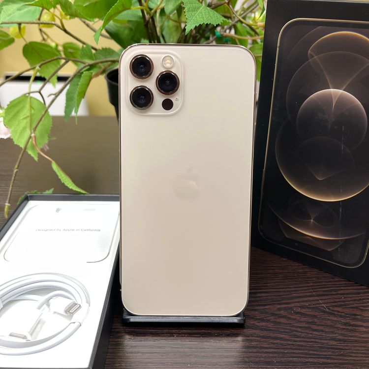 iPhone 12Pro 128GB  SIMե꡼ ̵