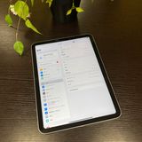 iPad(10) 256GB С  Wi-Fiǥ ̵