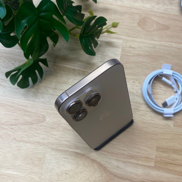 iPhone16Pro 1TB �ǥ����� ������ SIM�ե꡼ ����̵��