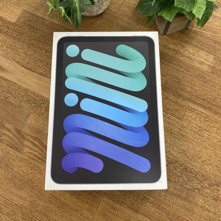 ʡ̤ iPad Mini A17Pro 256GB ڡ졼WiFi ǥ ̵