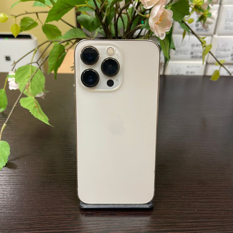 iPhone 13Pro 256Gb  SIMե꡼ ̵
