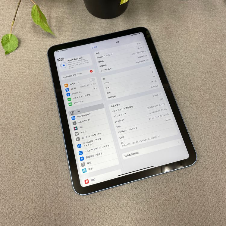 iPad(��10����) �֥롼 64GB Wi-Fi + Cellular��ǥ� ����̵��