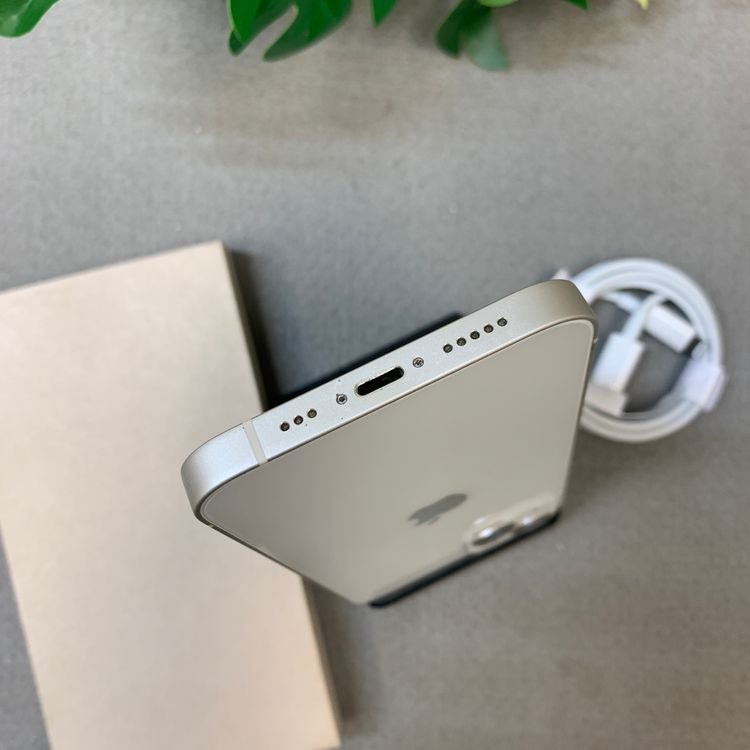 �Хåƥ꡼100% iPhone 13 256Gb �������饤�� ������SIM�ե꡼����̵��