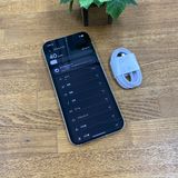 Google Pixel 10 Pro XL 256GB  ������ SIM�ե꡼����̵��