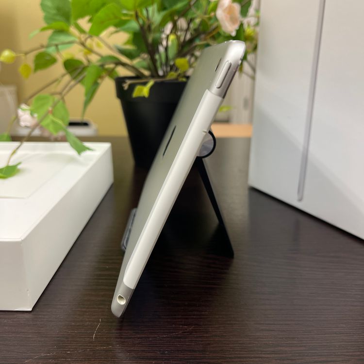 iPad mini 4 С Wi-Fi + Cellularǥ ̵