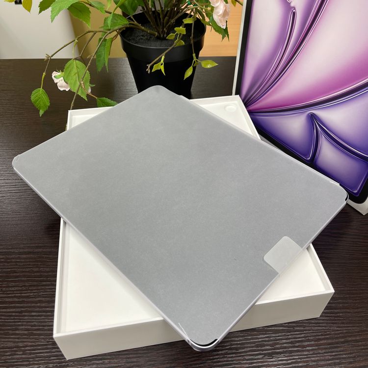 ʡ̤  13iPad AirM2256GB Wi-Fi + Cellularǥ