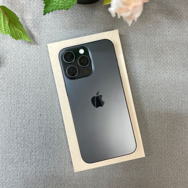 ����� iPhone 15Promax 256GB �֥�å� ����SIM�ե꡼ ����̵