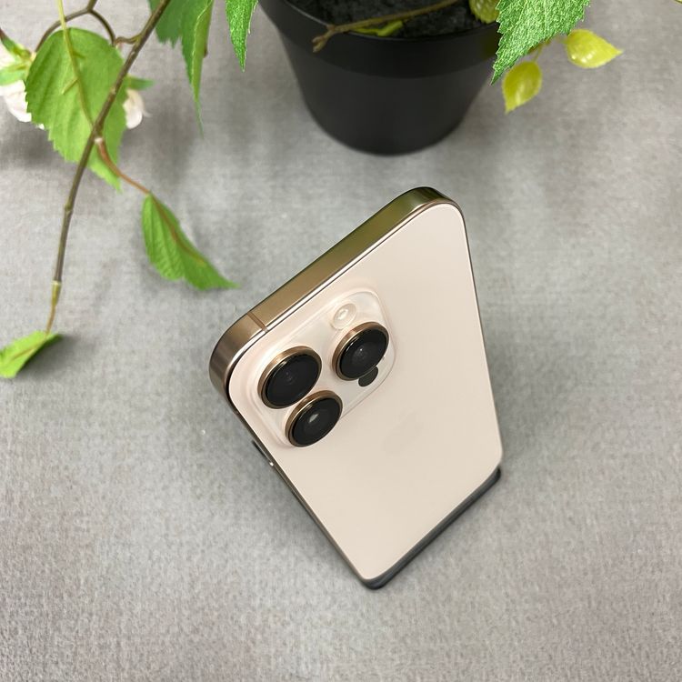 ����Ʊ�� iPhone16Pro 1TB �ǥ����� ������ SIM�ե꡼ ����̵��