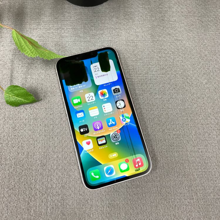  iPhone 13 ԥ 256GB ̵ 86092