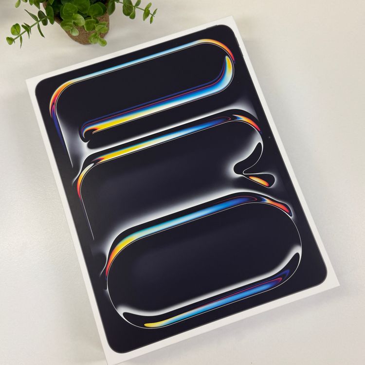 ���ʡ�̤���� iPad Pro 13����� M5���å� 256GB Wifi+Cellular