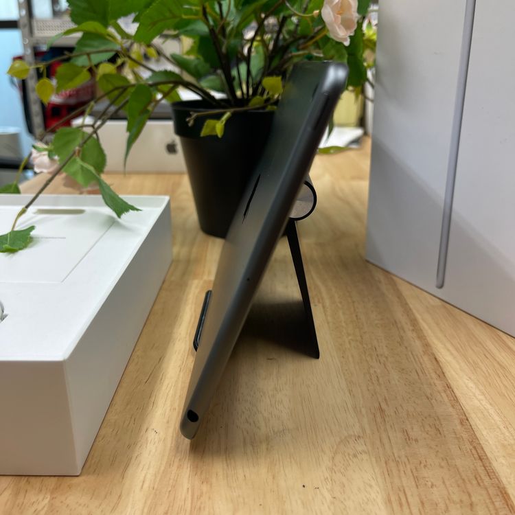 iPad mini 5 ڡ쥤 64Gb Wi-Fiǥ ̵